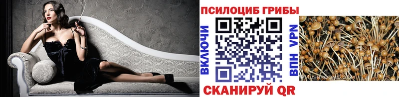Галлюциногенные грибы ЛСД Завитинск